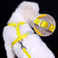 Dog Harness Vest Set Cat Clothes Small Dogs Reflective Breathable Adjustable Outdoor Walking Chest Strap Pet Supplies