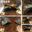 New Aquarium Decoration Resin Aquatic Fish Tank Ornament Decor Artificial Reptile Terrarium Turtle Accessories