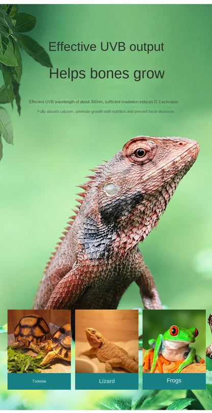 UVA+UVB Reptile Full Spectrum LED Light Turtle Lizard Snake Terrarium Sunbathe Heat Lamp 10.0 20.0 Sun Lamp Sunbathe Heat Lamp
