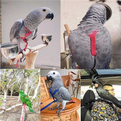 Training Flying Traction Rope Anti-Bite Training Rope Bird Parrot Flying Rope Parrot Harness Bird Harness Leash
