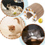 Cat Scratching Pad Organ Magnetic Foldable Scratchers Multipurpose Scratch Pad Kitten Scratching Board With Ball For Kitten Paly