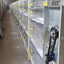 Breeding rabbit cage
