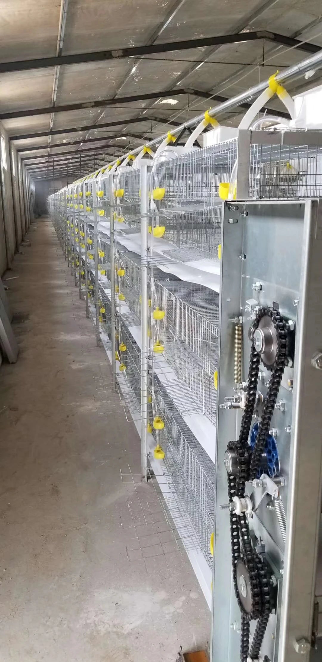 Breeding rabbit cage