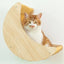1Pc Wall Mounted Cat Hammock Ladder and Platform Moon Shaped Wooden Climbing Shelf Cats Furniture for Kitty Playing and Sleeping