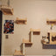 Wall Mounted Cat Climbing Shelves Cat House Cat Bridge Cat Hammock with Scratching Post and Pedals or Stairway for Kittens