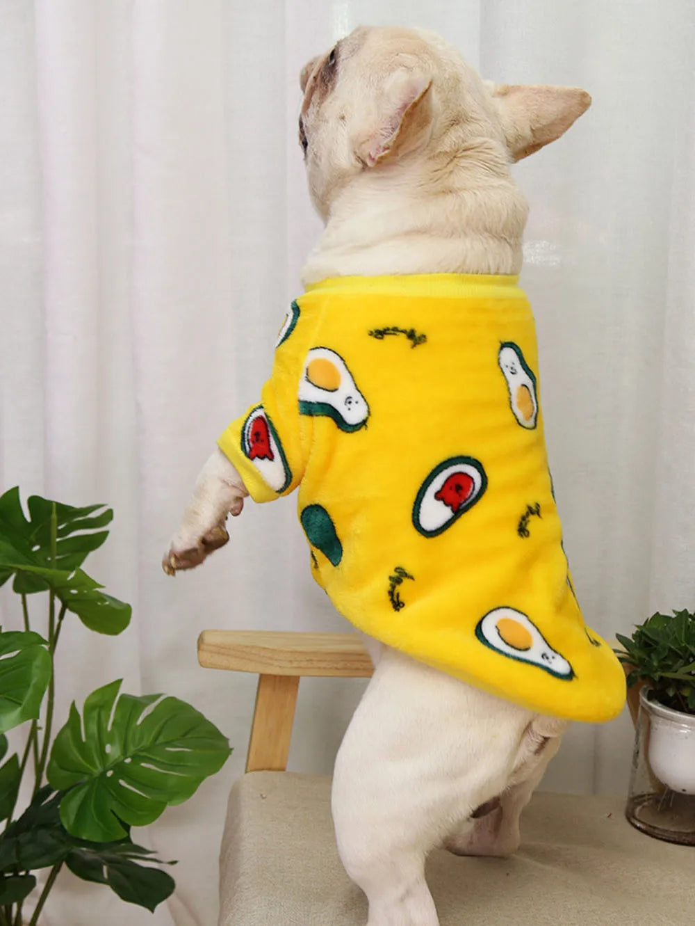 Warm Pet Clothing for Winter Soft Coral Fleece Dog Hoodies Cute Printed Puppy Small Dog Sweater French Bulldog Coat Cats Clothes