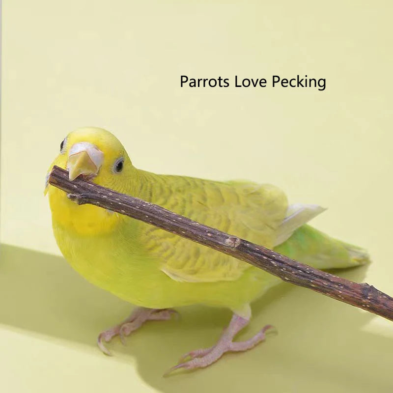 Professional Bird Parrot Teeth Grinding Apple Tree Stick Minerals Molar Stone Toys for Chinchilla Hamster Small Pet Toys Supply