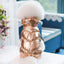 Dog Puppy Winter Coat for Small Dogs Waterproof Windproof Dog Jacket Warm Fleece Padded Pet Clothes for Teddy Poodles Pomeranian