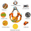 Outdoor Puppy Dog Walking Harness and Leash Set for Small Dogs Reflective Pet Harnesses Chihuahua Poodle Bichon Cat Accessories