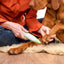 Paw Trimmer For Dogs Dog Paw Pad Trimmer With Led Auxiliary Lighting Noise-Free Led Auxiliary Lighting Paw Pad Trimmer For Cats