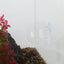 UXCELL Aquarium Glass Fish Tank Planter with Suction Cups Aquarium Plants Cup Aquatic Plant Pots Fish Tank Accessories