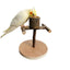 Natural Wood Toy Pet Parrot Raw Wood Stand With wooden feeding bowl Rack Squirrel Bird Hamster Branch Perches Chew Bite Toys