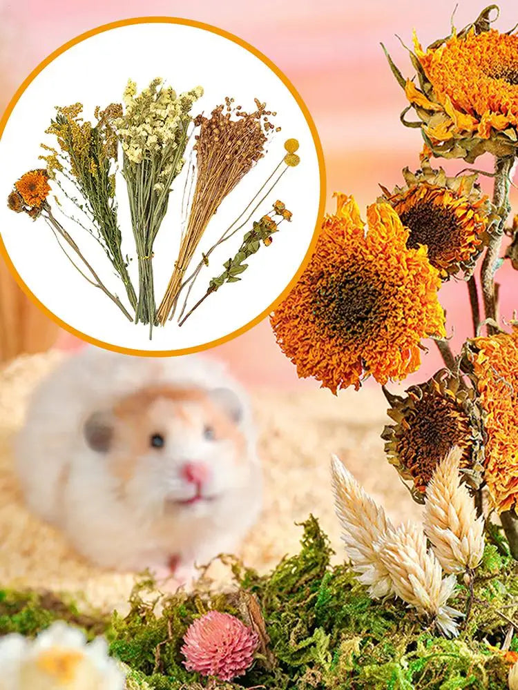 Flower And Plant Bedding Natural Hamster Bedding Hamster Deodorizing Bedding Small Animal Deodorant Product Landscaping Supplies