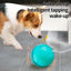 Automatic Rolling Ball Toys Safe Dog Toy Balls Bite Resistant Dog Toys Puppy Toys Fun Interactive Play for Pet Dog Puppy