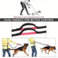 Dog Leash Hands-free With a Waist Bag  Hold Items Harness for Small Breeds Dogs Choker Collar Personalized Nylon Dog Accessories
