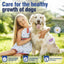 38/70cm Dog Calming Collar Pet Cat Anxiety Reducing Pheromone Collar for Dogs Releases Pheromones for 60Days Helps Calm for Dogs