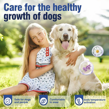 38/70cm Dog Calming Collar Pet Cat Anxiety Reducing Pheromone Collar for Dogs Releases Pheromones for 60Days Helps Calm for Dogs