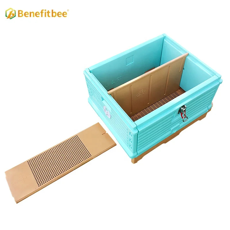 Benefitbee one layer 10 frames Langstroth beekeeping plastic bee hive box for beekeepers