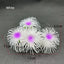 Artificial Underwater Coral Aquarium Fish Tank Simulation Decoration Aquarium Backgrounds Plants Water Grass Decora Beautiful