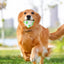 Puppy Teething Toys Fun Tough Innovative Chew Toys Rubber Dog Toys Gentle Professional Puppy Dog Chew Toys For Teething
