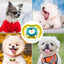 Pet Dog Silicone Pacifier Cat Dog Pacifier Chew Toy Cartoon Pet Puppy Molar Teeth Cleaning Cat Dog Chew Toy Food Grade Puppy