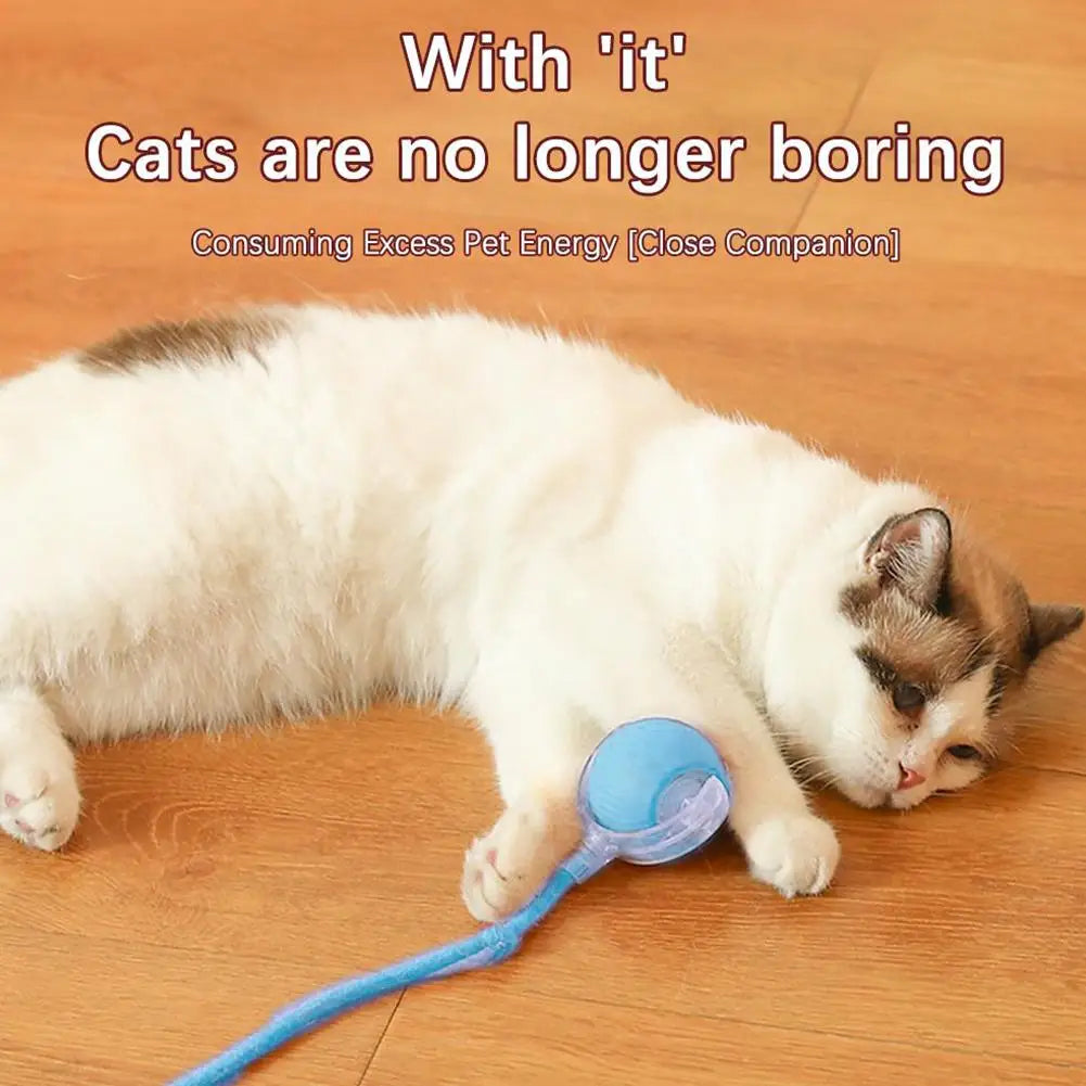 Smart Rolling Cat Toy Ball Relieve Kitten Boredom Automatic Shutoff Rechargeable Creative New Kitten Chasing Toy Electric Ball
