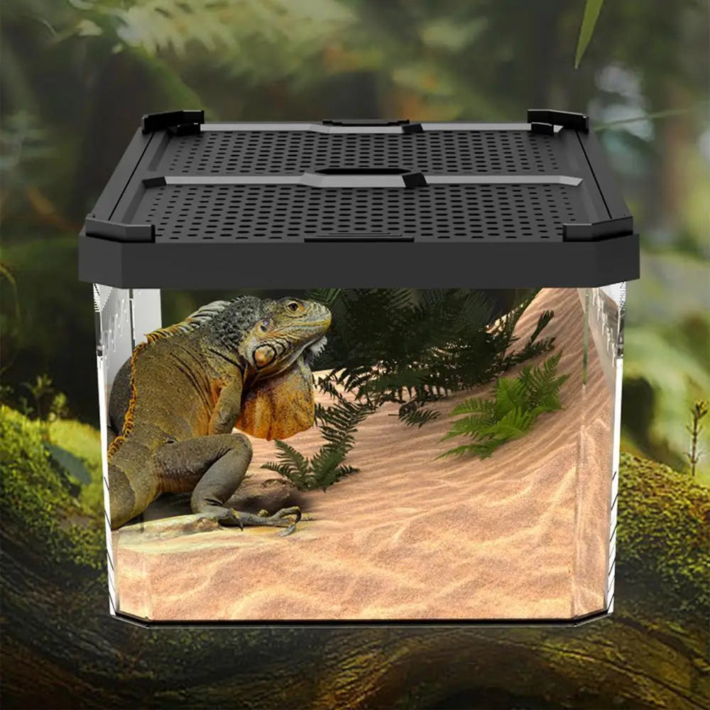 Lizard Tank Transparent Snake Tank Lizard Terrarium Small Reptile Habitat Breeding Box Amphibians Enclosure Sliding Cover Keeper
