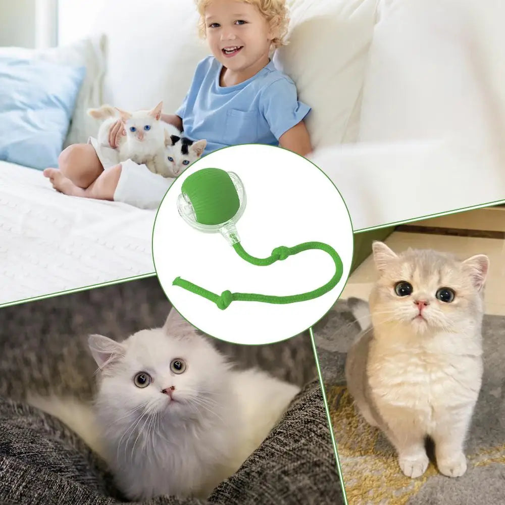 Electric Cat Ball Toys Automatic Rolling Ball Cat Puzzle Toy Cat Balls Smart Pet Interactive Toy Dog Cat Training Playing Toys