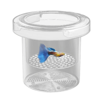 Floating Fish Breeding Isolation Box Aquarium Breeder Feeder Plastic Fish Tank Hatching Incubator Aquarium Hatchery Accessories