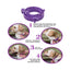 Pet Calming Collar For Cats Dogs Adjustable Anxiety Pheromone Reducing Pet Collar Lasting Natural Calm Relax Soothing Collars