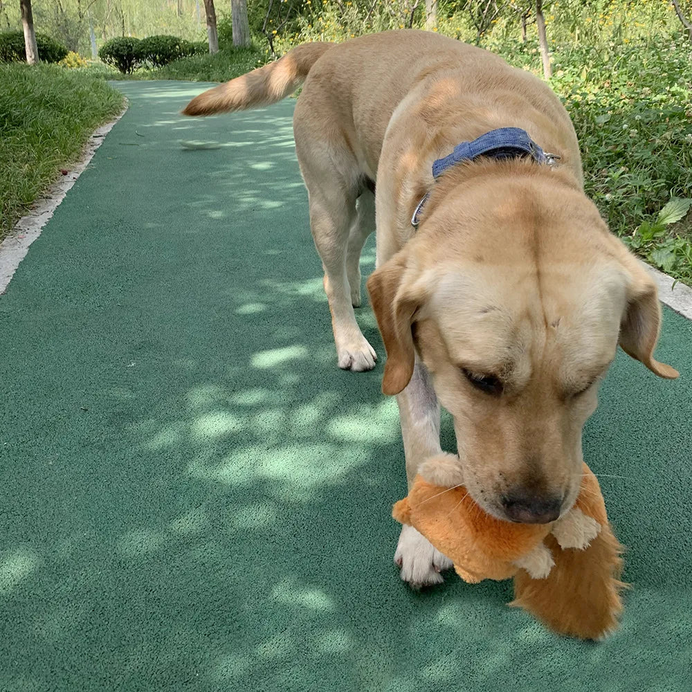 Dog Plush Toy Plush And Unfilled Animal Skins Squeak And Make Noise Squirrel Toys Sound Interactive Dog Toys Fleece Squeak Toys