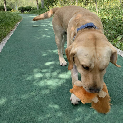 Dog Plush Toy Plush And Unfilled Animal Skins Squeak And Make Noise Squirrel Toys Sound Interactive Dog Toys Fleece Squeak Toys