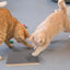 Cat Scratcher Bed 5 Packs in 1 Reversible Thickened Cat Scratch Board Wear-Resistant Cat Furniture for Grinding Claws Exercise