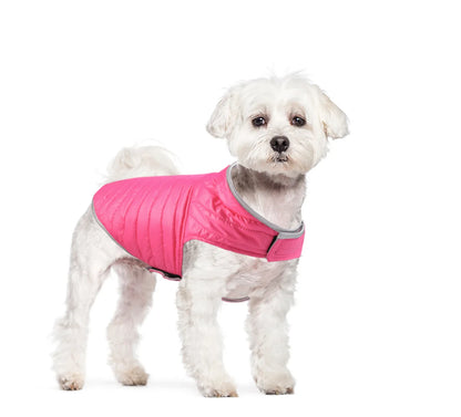 Warm Chihuahua Clothing Jacket Dog Winter Jacket for York Small Large Dog & Puppy Winter Bulldog Clothes Dog Coat Pet Clothes