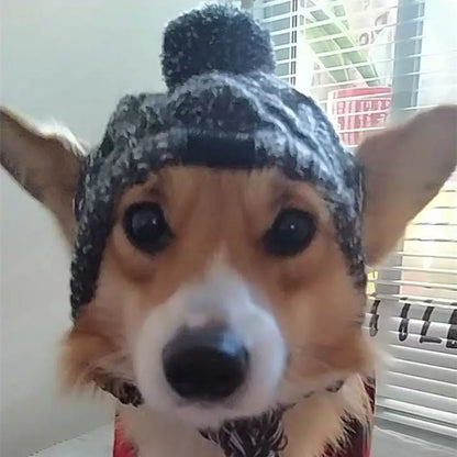 Winter Soft Dog Hat Warm Pet Dog Knitted Hat with Ear Holes Windproof Knitting French Bulldog Hat for Puppy Small Medium Dog Cap