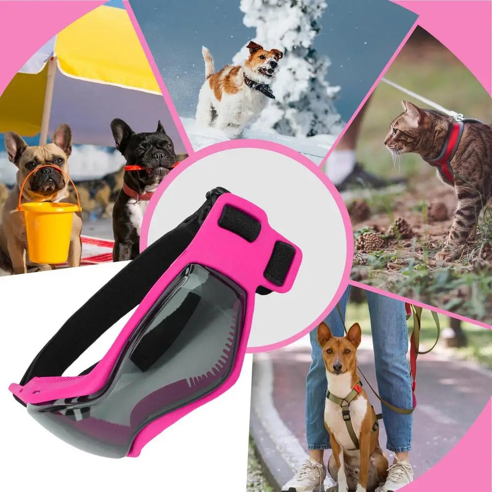 Small Dog Goggles Dog Sunglasses Anti-Fog Goggles PC Lenses Dog Eye Wear Protection Tool For Parties Everyday Activities Travel