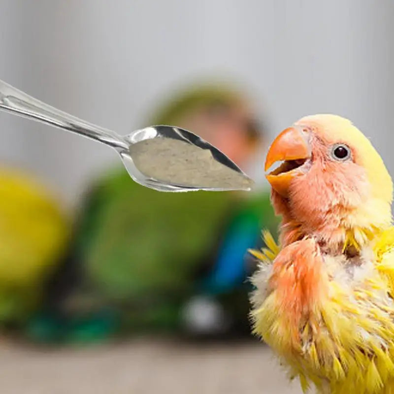 Bird Feeder Spoons 10Pcs Medicine Spoons Hand Feeding Spoon For Peony Metal Bird Milk Spoons Hand Feeding Spoon For Budgies