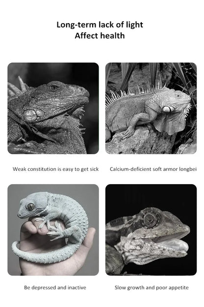 UVA + UVB Reptile Light Full Specstrum 5.0 10.0 Bulb LED UV Lamp for Turtle Lizard Snake Heater Bulb Terrarium Lamp 육지거북
