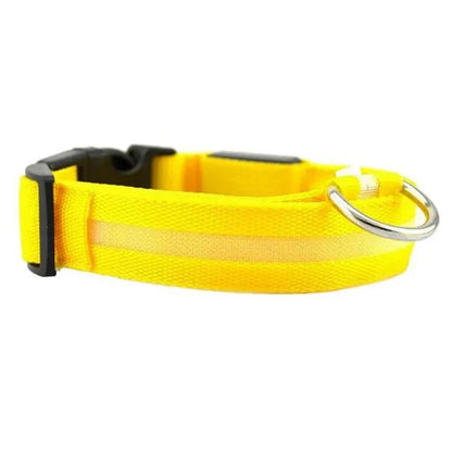 Light Up Dog Collar, Glow LED Dog Collar Flashing Night Walking Collar Waterproof for Small Medium Large Dogs