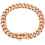 Chew Proof Stainless Steel 19MM Gold Dog Chain Collar with Solid Buckle Pet Chains Collars for Large Dog