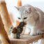 GiGwi Sound Bird Toy Cat Feather Toys Cat Feather Toys Interactive Cat Toy With Sounds Sound Toys Brown Bird, Hedgehog, Mouse