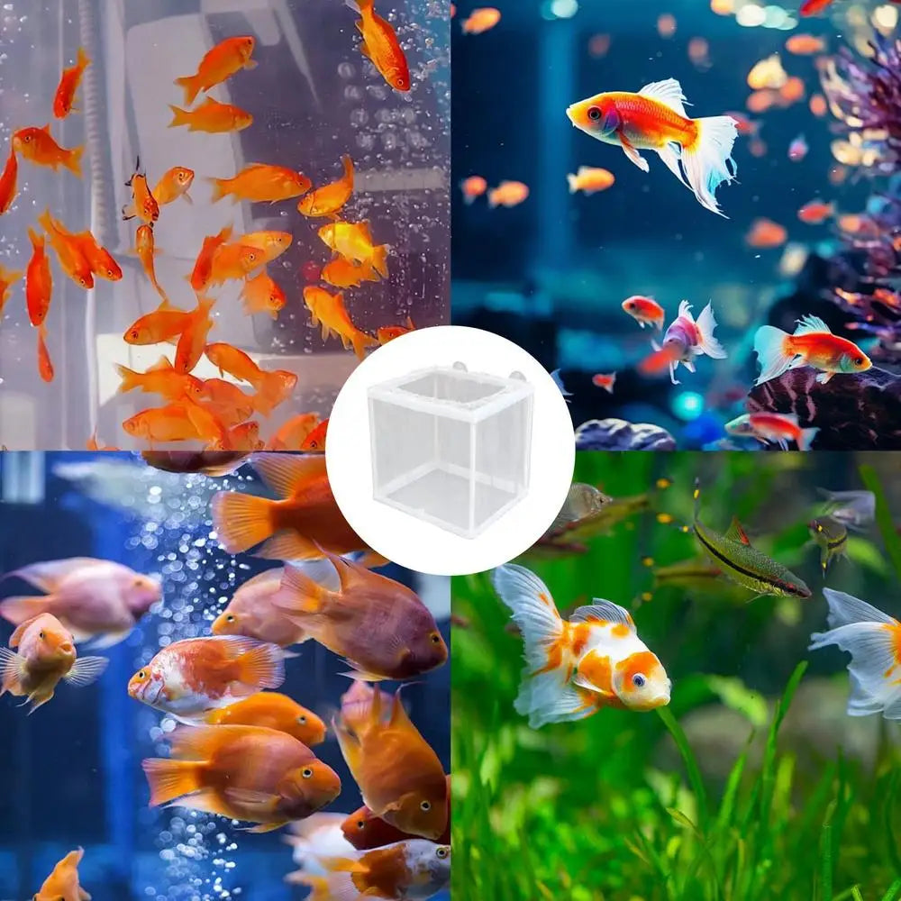 Fish Breeder Box with Suction, Aquarium Hatcher, Mesh Box, Juvenile Fish Separation Net, Tank Incubator Box, Fry Hatchery, DIY