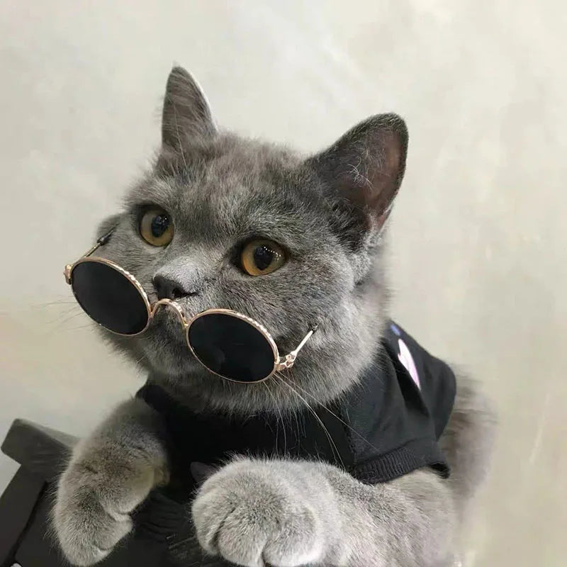 Anti-slip Cat Sunglasses Pet Accessories Small Dog Sun Glasses Classic Retro Circular Glasses for Kitten Photos Props Cosplay