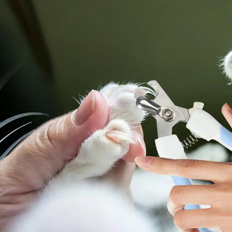 Dog Nail Clippers Nail Clippers And Trimmer For Puppy Portable Grooming Tool Professional And Safe Nail Trimmer For Cats Birds