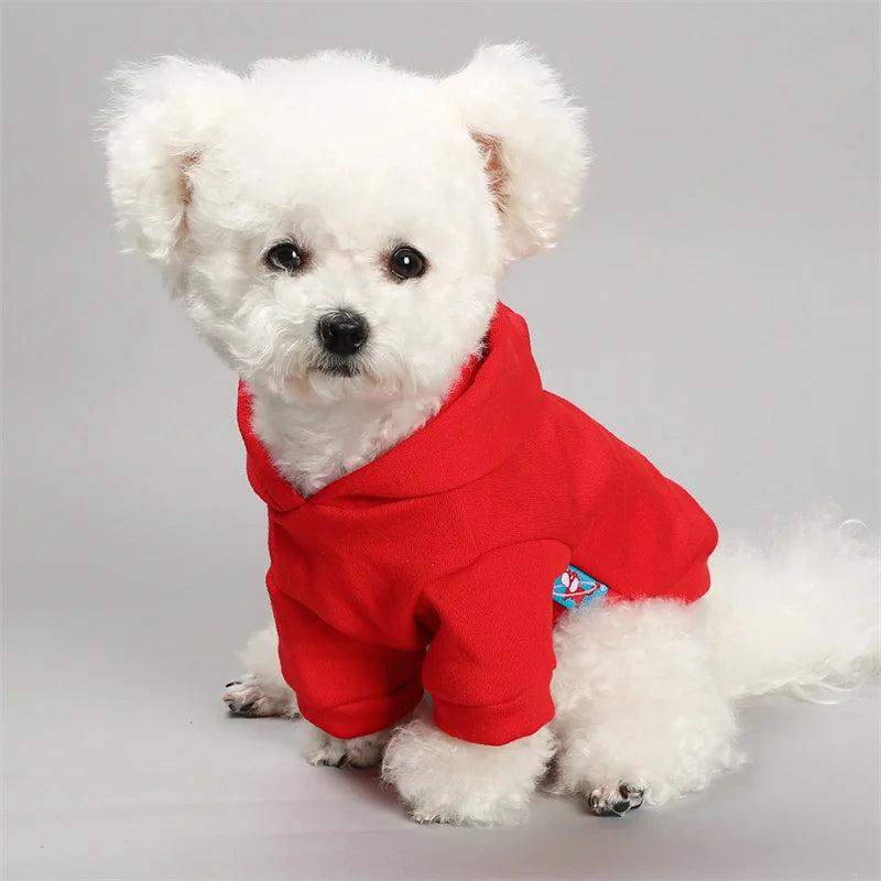 Horror Print Puppy Dog Hoodie Sweater Autumn Spring Pet Clothes for Small Dogs Chihuahua Pomeranian Pullovers mascotas Costume