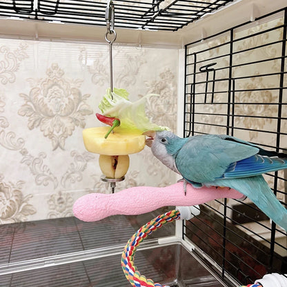 Stainless Steel Pet Parrot Feeder Fruit Corn Fork Toys Chicken Vegetables Holder Hang Cage Feeding Stick Feeder Accessories Pet
