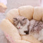 Cats Bed Winter Warm Pet Supplies Basket Houses Accessories All Accessory Dog Mat Cushions Kitten Things Puppy Goods Beds House