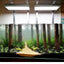 WEEK AQUA A430 Pro Full Spectrum Aquarium Led Light Fish Tank Aquatic Plants Light with APP Bluetooth Controller and Shade Plate
