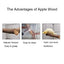 Natural Wood Pet Parrot Raw Wood Fork Tree Branch Stand Rack Squirrel Bird Hamster Branch Perches Chew Bite Toys Stick