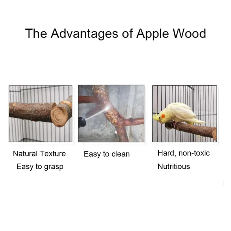 Natural Wood Pet Parrot Raw Wood Fork Tree Branch Stand Rack Squirrel Bird Hamster Branch Perches Chew Bite Toys Stick